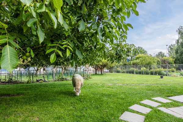 Medium property photo - Knibbelweg 17, 2761 JB Zevenhuizen